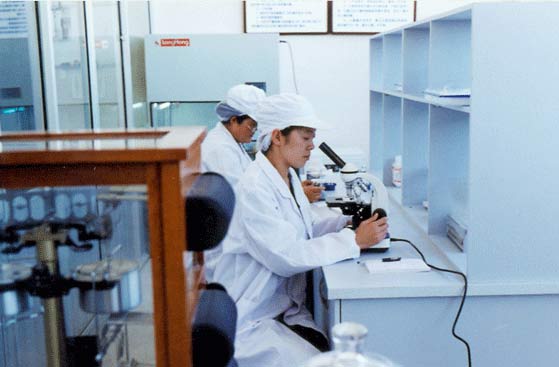 �C�ό�(sh��)�(y��n)��