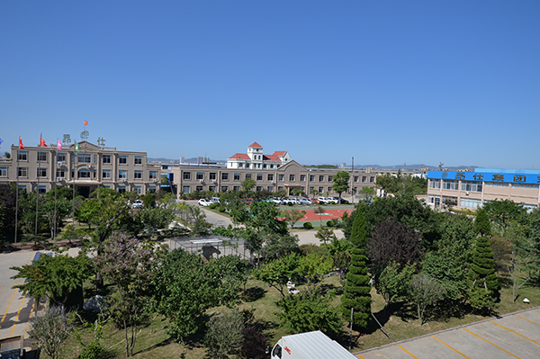 ���F(tu��n)�h(hu��n)��